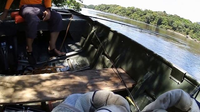 Mr. YAP Caught Small Redtail Cat Fish At Guyana Using King Octopus Rod (22:49)