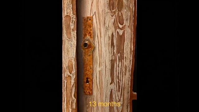 My watercolor journey, 2019 - 2020 смотреть онлайн