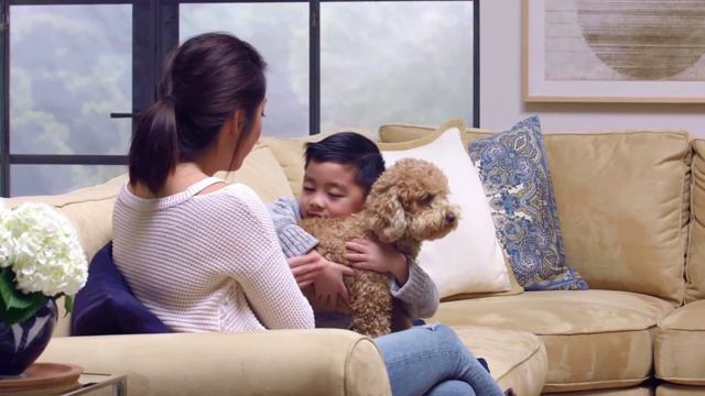 Take A Seat | Pearce Upholstered 3-Piece Sectional смотреть онлайн