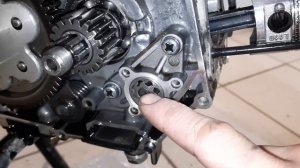 Стук в двигателе мотоцикл Alpha Motoland Scout 110, мопед Альфа.