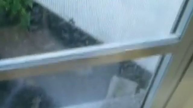 there's a lizard at my window смотреть онлайн