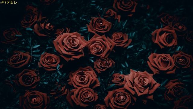 Tesla - Love Song (Sub. Ingles - Español) смотреть онлайн