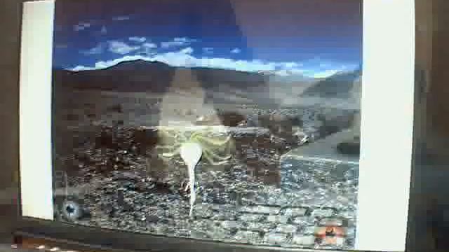 Acer ejecutando algunos programas.flv смотреть онлайн