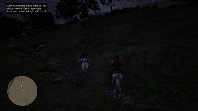 Red Dead Redemption 2 Türkçe Altyazılı Bölüm 30 смотреть онлайн