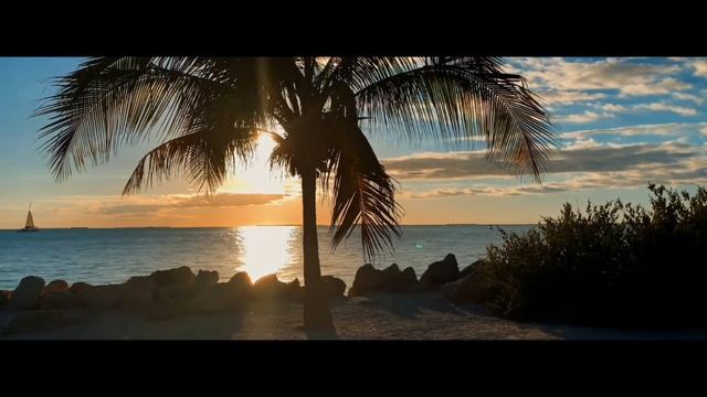 how to cinematic video edit in cap cut // iphone 14 pro max videography смотреть онлайн