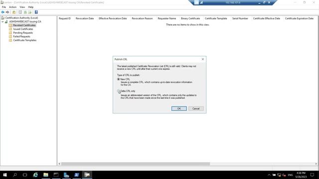Part - 5.d : Perform Post Installation Configuration Tasks on the Enterprise Issuing CA смотреть онлайн
