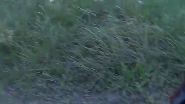 сабвуфер смотреть онлайн