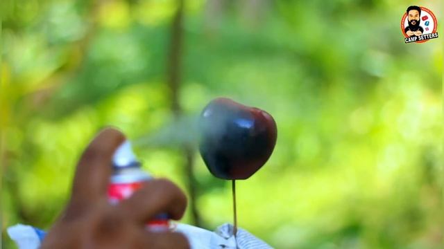 6 നിറങ്ങളിൽ കായ്ക്കുന്ന ആപ്പിൾ കേരളത്തിൽ | BLACK AND BLUE APPLE | CAMP SETTERS смотреть онлайн