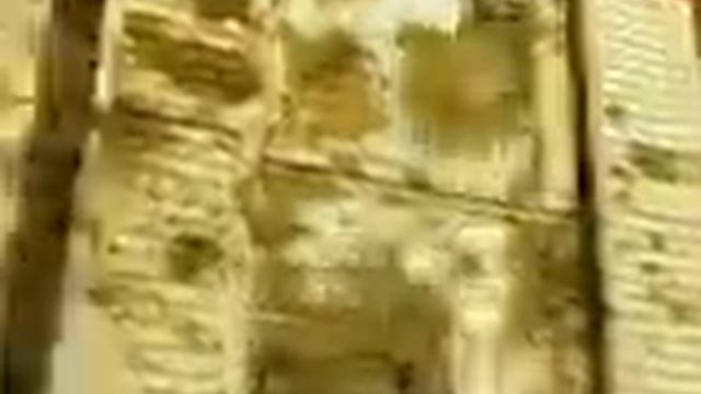 Джип чистится как собака смотреть онлайн