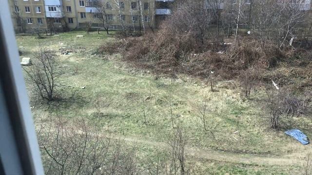 Berdlog 20: looking at window and then frown into the bed :OOO смотреть онлайн