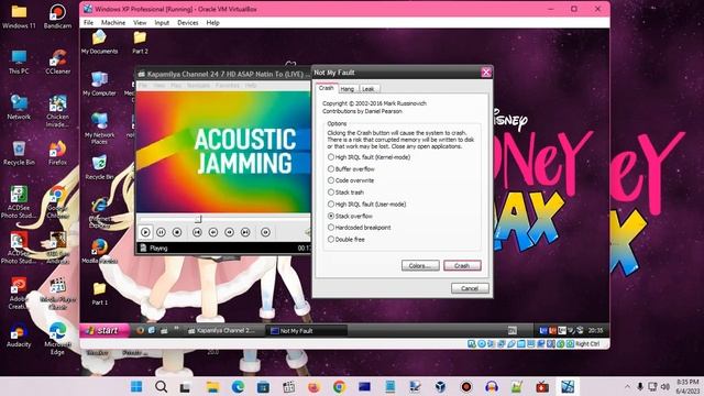Windows XP BSOD 1491 (2023)