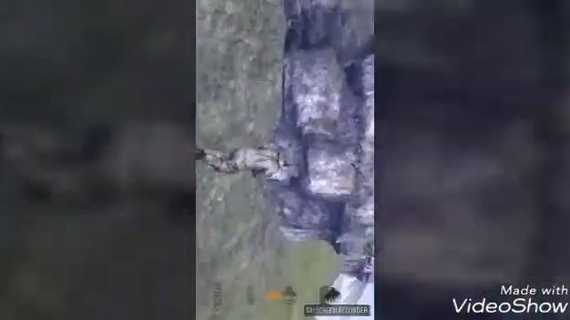 Trucos para vast survival смотреть онлайн