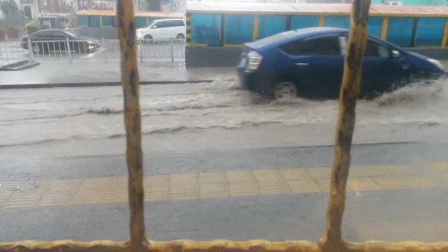 rainy day, I'm looking out the window at the street. / rain sound/ flood / sound of running water смотреть онлайн
