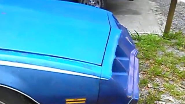 1981 Pontiac Firebird смотреть онлайн