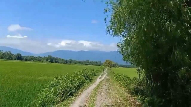 Kinda Looks Like Window's XP Wallpaper (BLISS)🍃 Gwjwn Barr Bardwng! смотреть онлайн