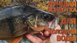 Топ оснастка для осени ловит трофеи | Narval Fishing Poker 762L + JigRig | Как ловить окуня осенью