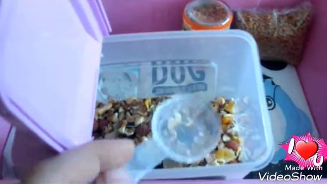 ВЕЩИ МОИХ КРЫС |•different pets•| смотреть онлайн