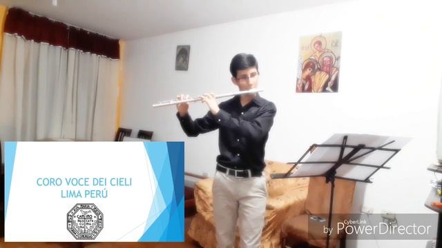 Me robaste el corazon con flauta traversa смотреть онлайн