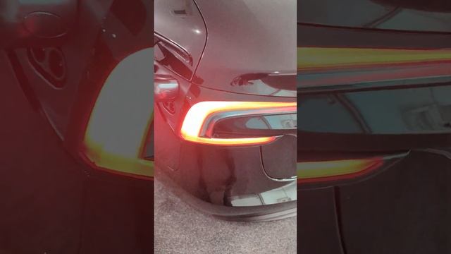 Tesla Model 3 Update - I finally physically saw it смотреть онлайн