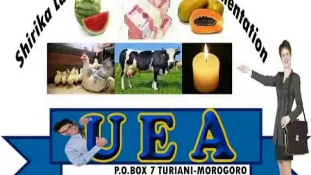 UEA TANZANIA TV смотреть онлайн