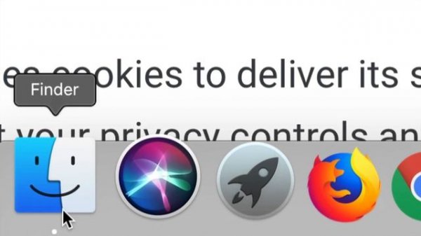 How to Download & Install Google Chrome Canary on macOS Catalina