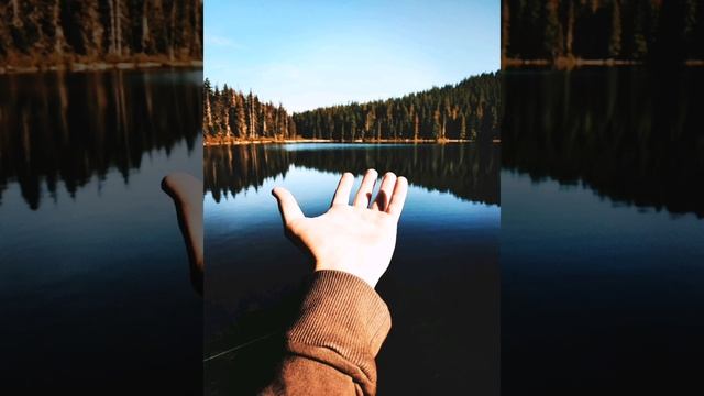 Бери мою ладонь смотреть онлайн