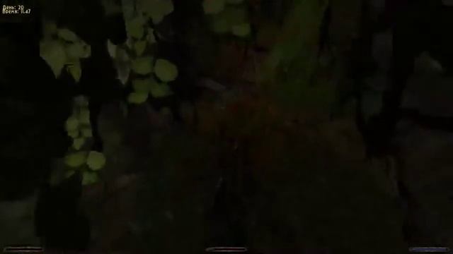 Gothic 2 смотреть онлайн