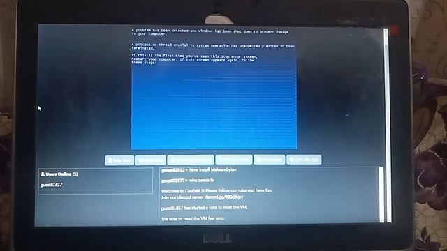 Windows XP Professional BSOD CollabVM смотреть онлайн