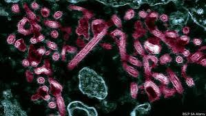 ТОП 10 самых СТРАШНЫХ ЭПИДЕМИЙ смотреть онлайн