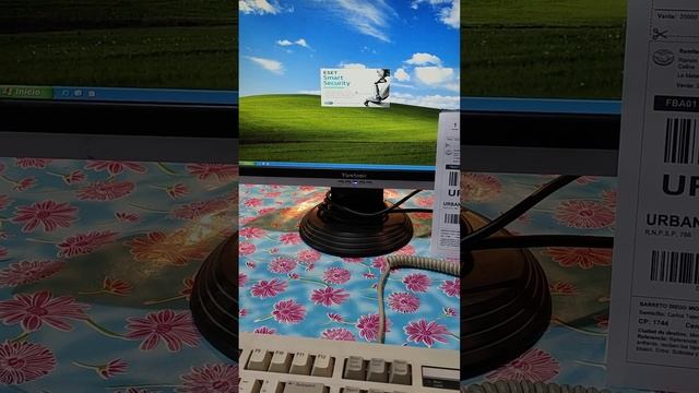Pc Packard Bell Pentium 4 Windows Xp Funciona!!! смотреть онлайн