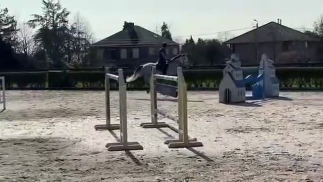 Sold China 🇨🇳 Top prospect 8 yo mare messenger x Cento смотреть онлайн