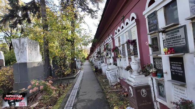 Новодевичье кладбище с Вячеславом Радостевым смотреть онлайн