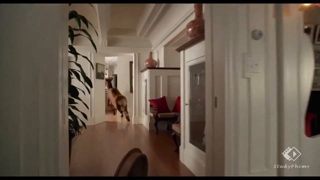 [Phim Học Tiếng Anh] Go over to the window right now and open it as wide as you can смотреть онлайн