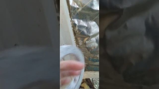 How to Repair A Broken Window or cover a window that has been broken. смотреть онлайн