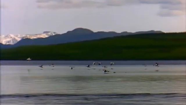 Lago(Windows Vista) смотреть онлайн