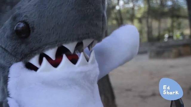 Ed Shark - Using Internet Explorer 6 смотреть онлайн