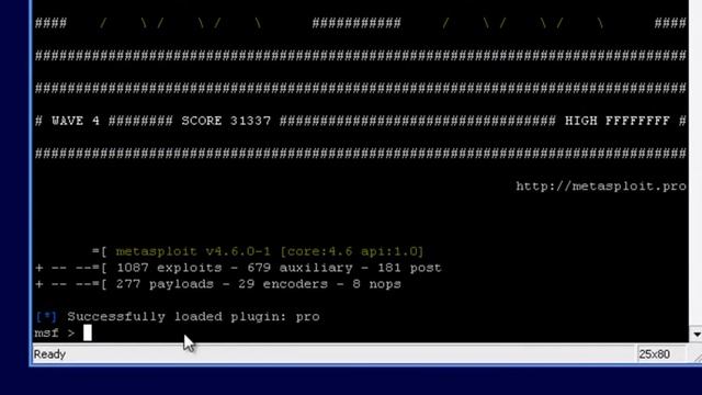 BackDooR by MeTasPloit on WinDows.mp4 смотреть онлайн