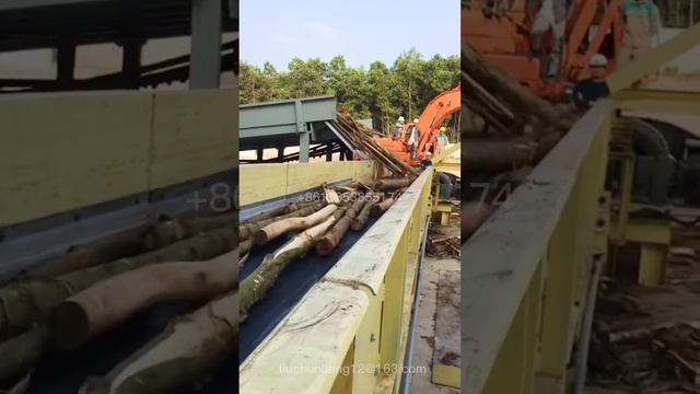 Wood log cross chain conveyor for feeding drum chipper смотреть онлайн