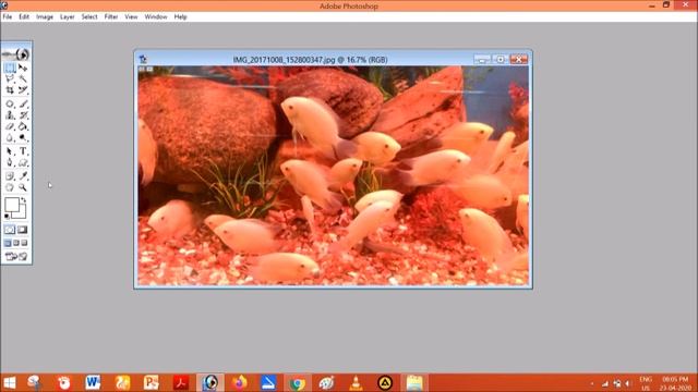 Un-hide toolbar and other windows in photoshop in hindi -class 15 смотреть онлайн