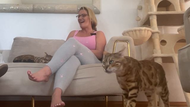 Rachael Cavalli And I Talk Bologna