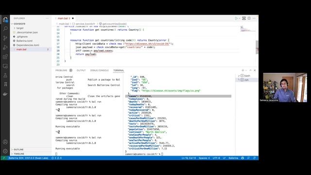 Ballerina: A language to develop, consume and combine network services смотреть онлайн