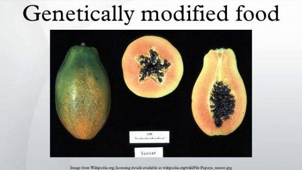Genetically modified food