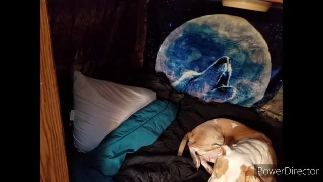 Van life - How to stay warm when its extremely cold. смотреть онлайн