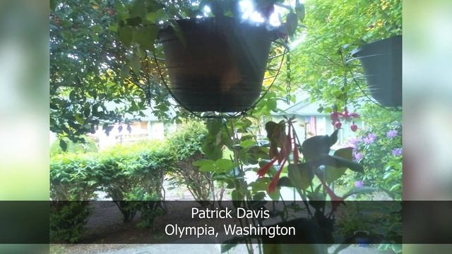 Window Swap 2021 Part 1 смотреть онлайн