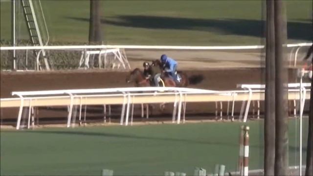 Bartlett Hall (inside horse) 9/28/17 Santa Anita смотреть онлайн