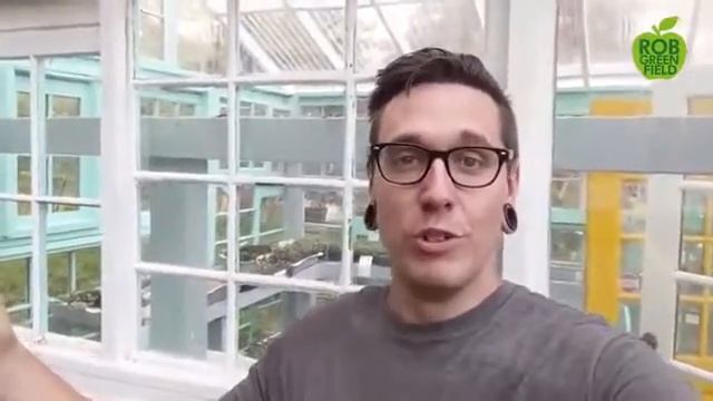 How to Build a Greenhouse Using Second Hand Windows- A Tutorial смотреть онлайн