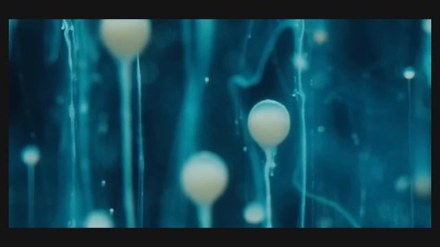 what i watched in march смотреть онлайн