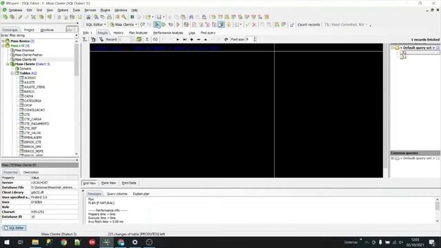 Intraweb - Delphi - Transferência on line de estoque / Firebird 4.0 смотреть онлайн