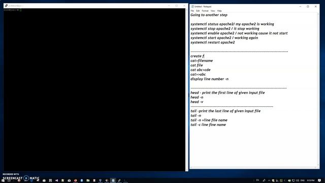 video 5 смотреть онлайн