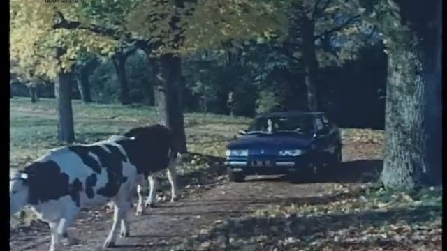 Introduction Of The Rover SD1